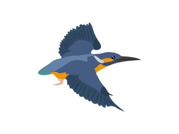 Alcedinidae Face Right Bird Animal: A Bold Graphic for Modern Projects
