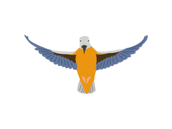 Alcedinidae Flaying Bird Animal: A Designer's Visual Asset