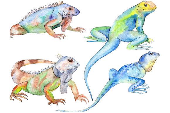 Animal World Iguana Watercolor: Vibrant Graphics for Bold Projects