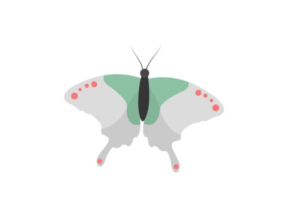 Discover the Attacus Atlas Butterfly Animal Illustration