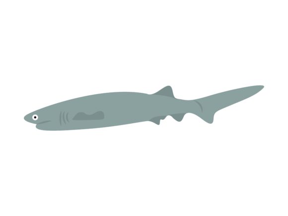 Exploring the Blue Shark Face Left Fish Animal Illustration