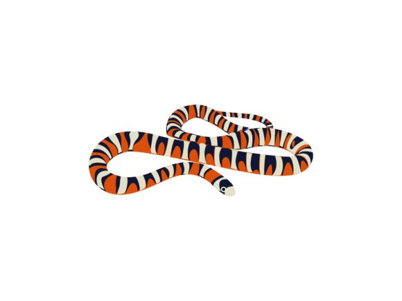 Garter Snake Animal: A Unique Illustration for Modern Projects