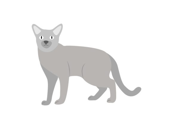 Peterbald Cat Face Left Animal: A Designer's Go-To Asset