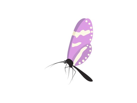 The Odonata Dragonfly: Nature's Design for Your Creative Projects