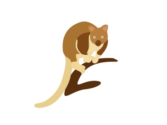 The Unique Appeal of the Tree Kangaroo Standing Animal