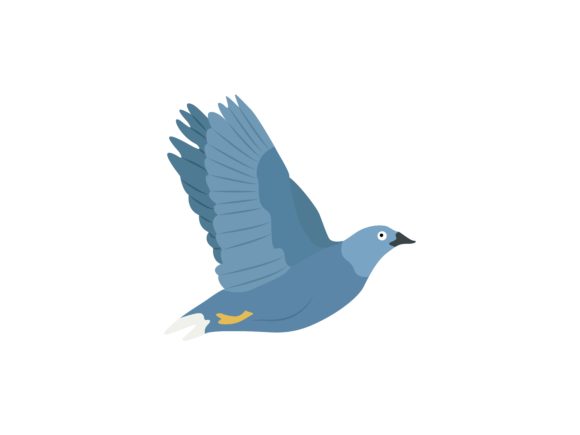The Versatile Appeal of the Pigeon Flaying Bird Animal Illustration